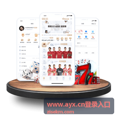 AYX 登录入口登录成功后页面状态确认